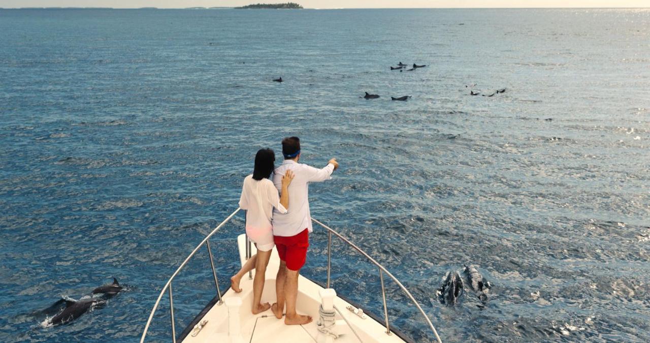 Kandima Maldives - 50 Percent Off On Return Domestic Flight Transfers On Stays 4 Nights Or More Between 01 Apr & 10 Oct 2025 Kudahuvadhoo Esterno foto Dolphins in the Red Sea